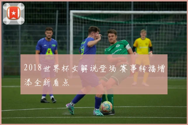 2018世界杯女解说登场 赛事转播增添全新看点